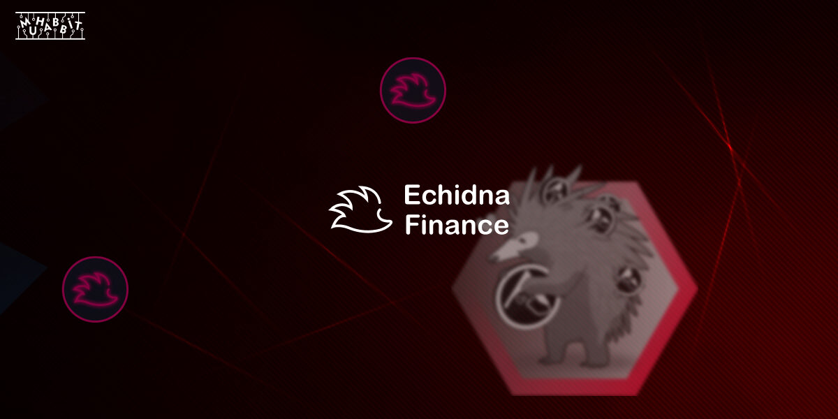 Echidna-Finance-4-Muhabbit