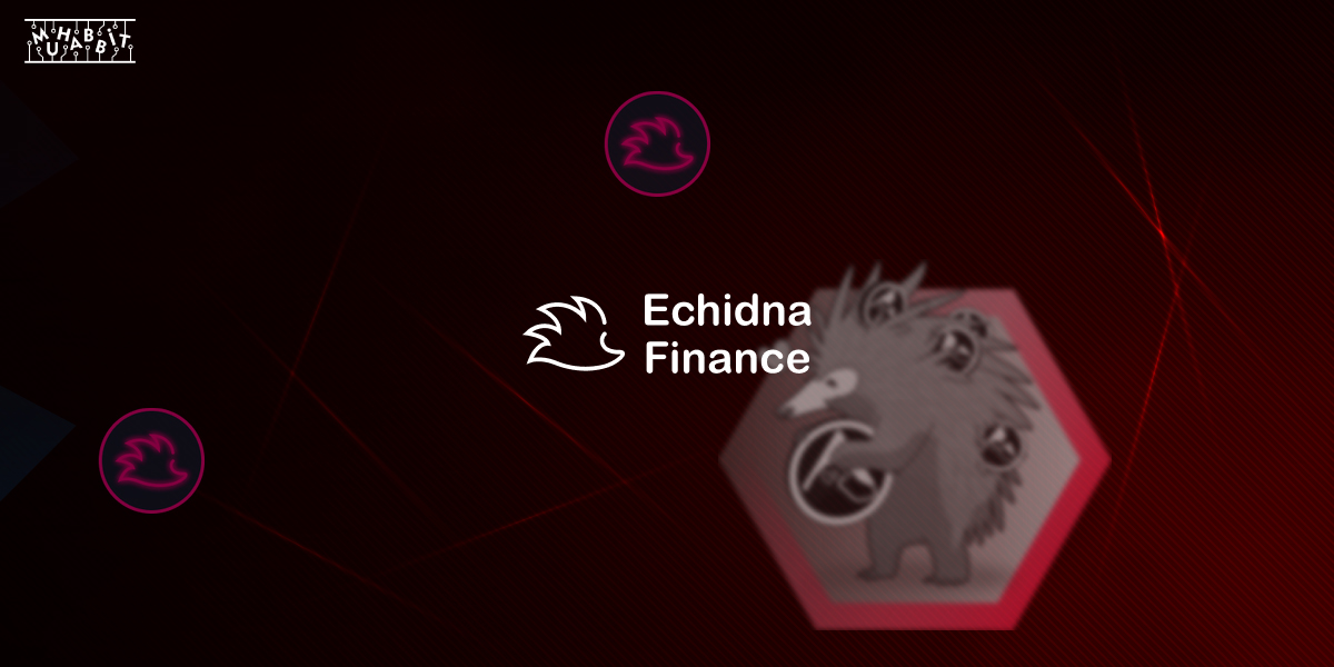Echidna Finance Platypus Factory Pool ile Kullanıcılarının Karşısına Çıkıyor