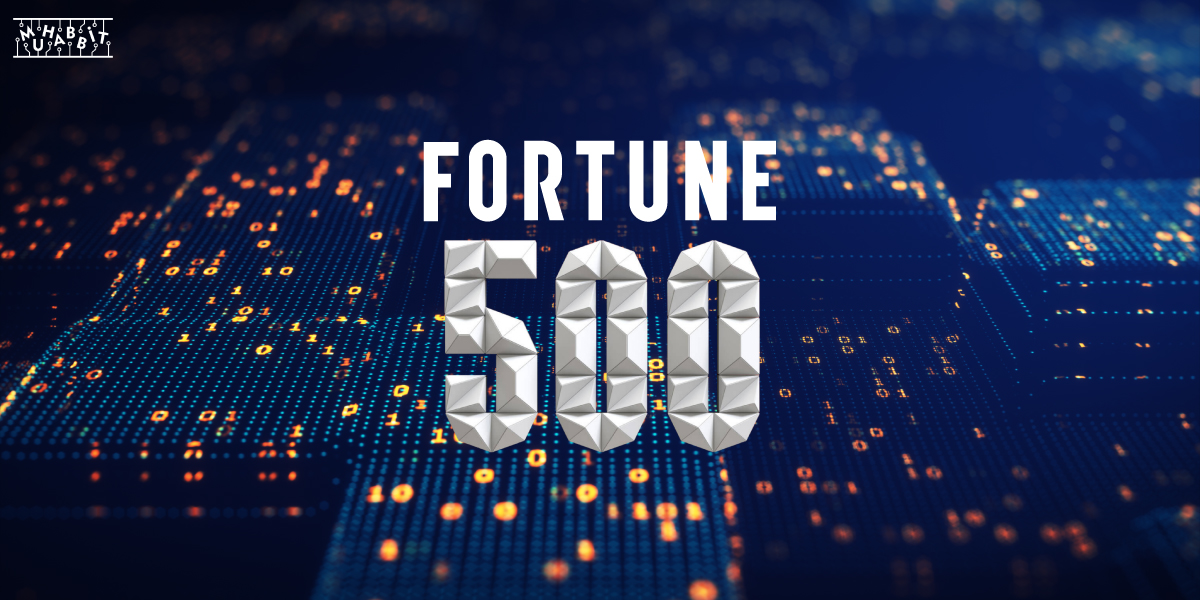 Fortune-500-Muhabbit
