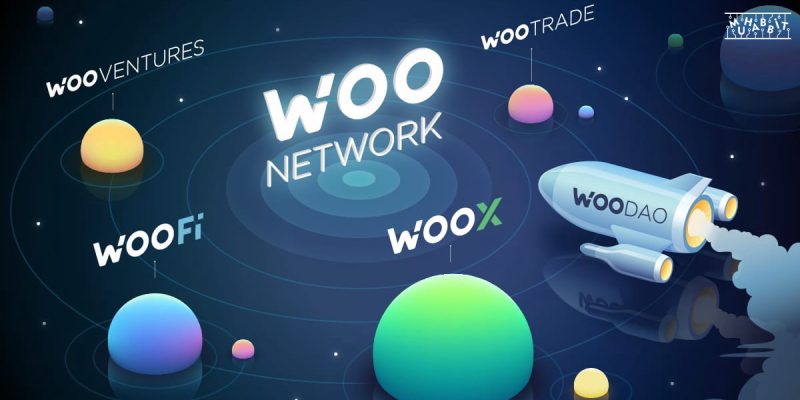 WOO Network, Finans Sisteminin Demokratik Olması Konusunda Neler Yapıyor?