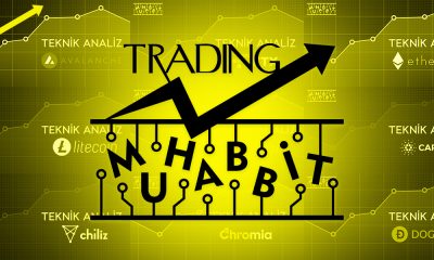 Traderlara Özel Grup, Muhabbit Trading Kuruluyor!