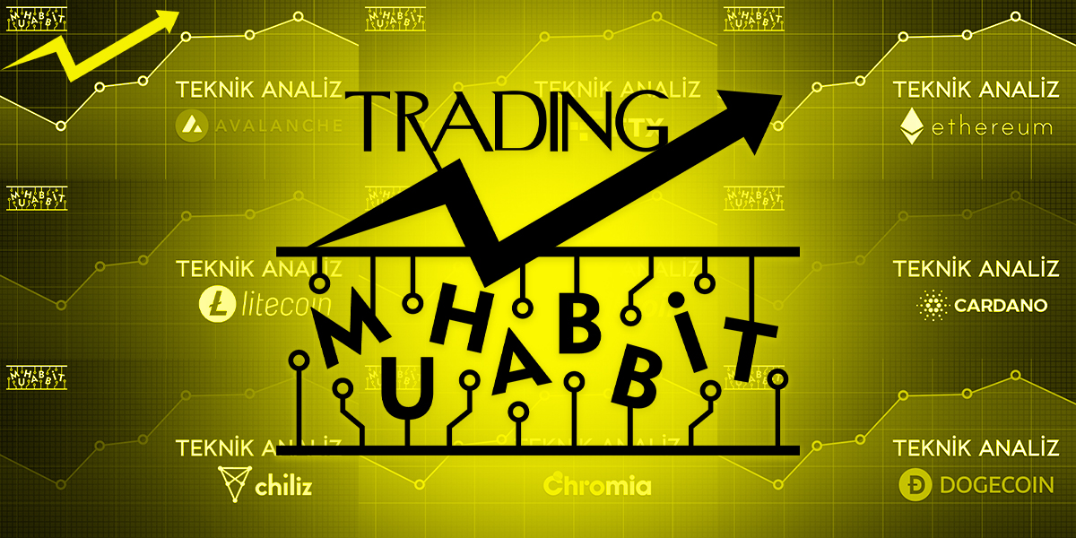 Traderlara Özel Grup, Muhabbit Trading Kuruluyor!