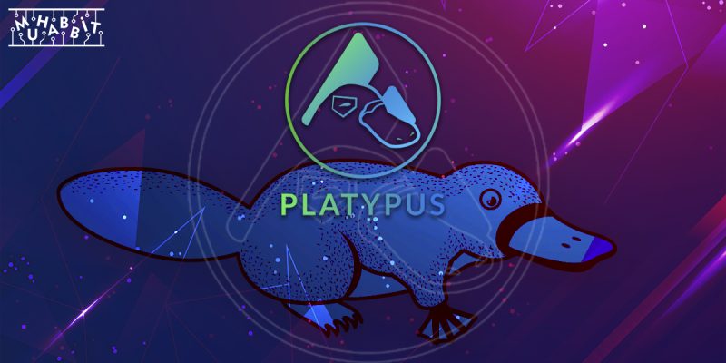 Stableswap Platformu Platypus, Factory Pool İle Kullanıcılarının Karşısına Çıkıyor!