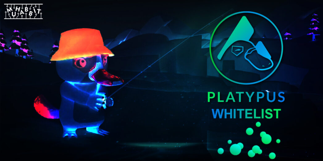 Platypus Whitelist Kazanma Şansı Nasıl Elde Edilir?