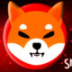 Shiba Inu Yeni Projelerini Açıkladı! Stablecoin, NFT Kart Oyunu ve Çok Daha Fazlası!