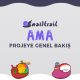 Avalaunch ve Snail Trail AMA Etkinliği Tamamlandı!