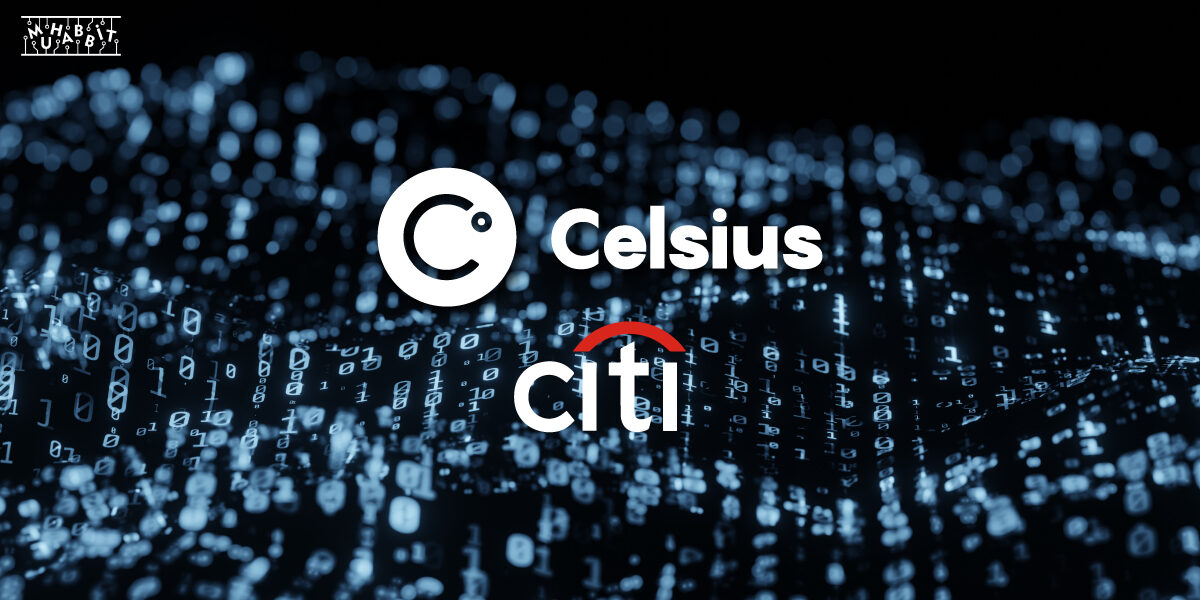 Celsius Citi Muhabbit 1200x600 - Celsius CEO'su Sonunda Sessizliğini Bozdu!