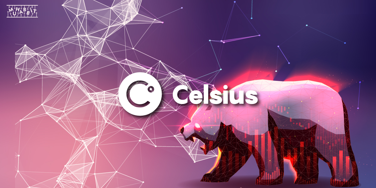 Celsius Network, Yeniden Yapılandırmaya Gidiyor!