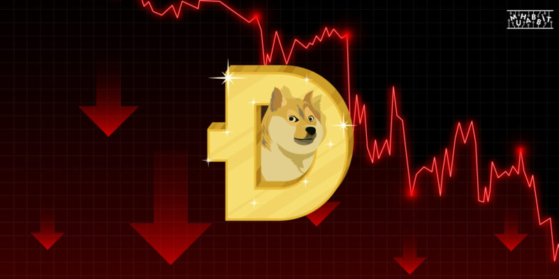 Dogecoin ATH’den Sonra Yüzde 90 Oranında Düştü!
