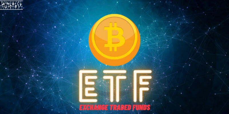 Kripto Anne, Spot Bitcoin ETF’si Hakkında Önemli Açıklamalarda Bulundu!