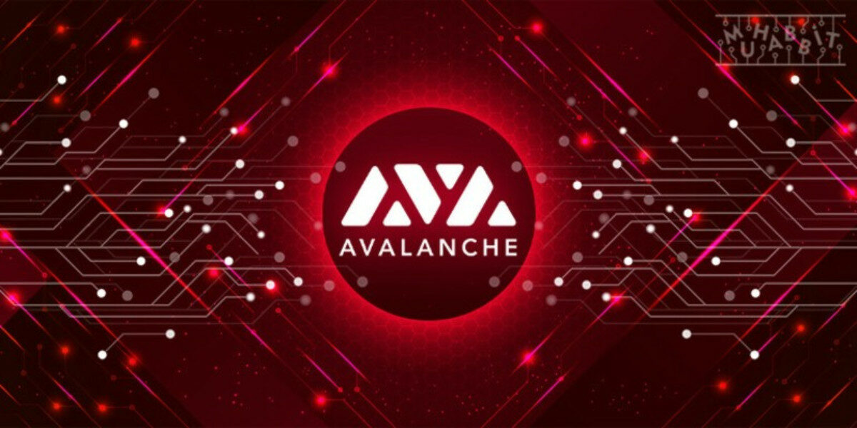avalanche 1200x600 - OpenSea Platformuna Avalanche Entegrasyonu Yapıldı. İşte Detaylar!