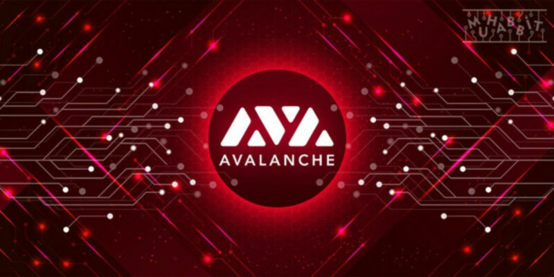 Avalanche’tan, Yapı Kredi ve Akbank Ortaklığı!