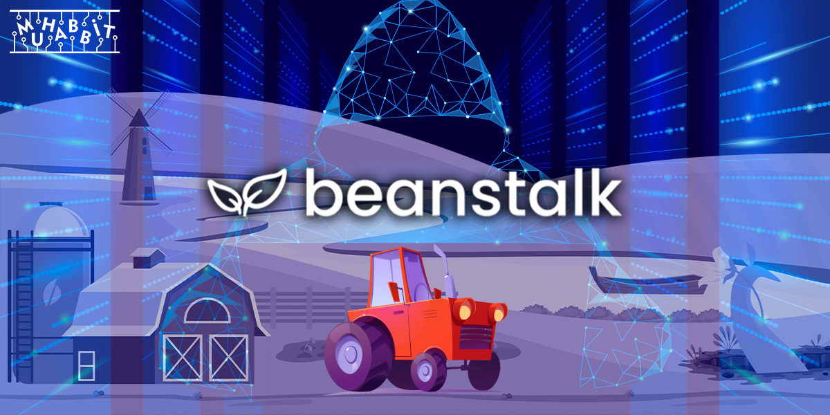 Beanstalk Uğradığı Saldırı Sonrasında Farm İşlemlerini Yeniden Başlattı