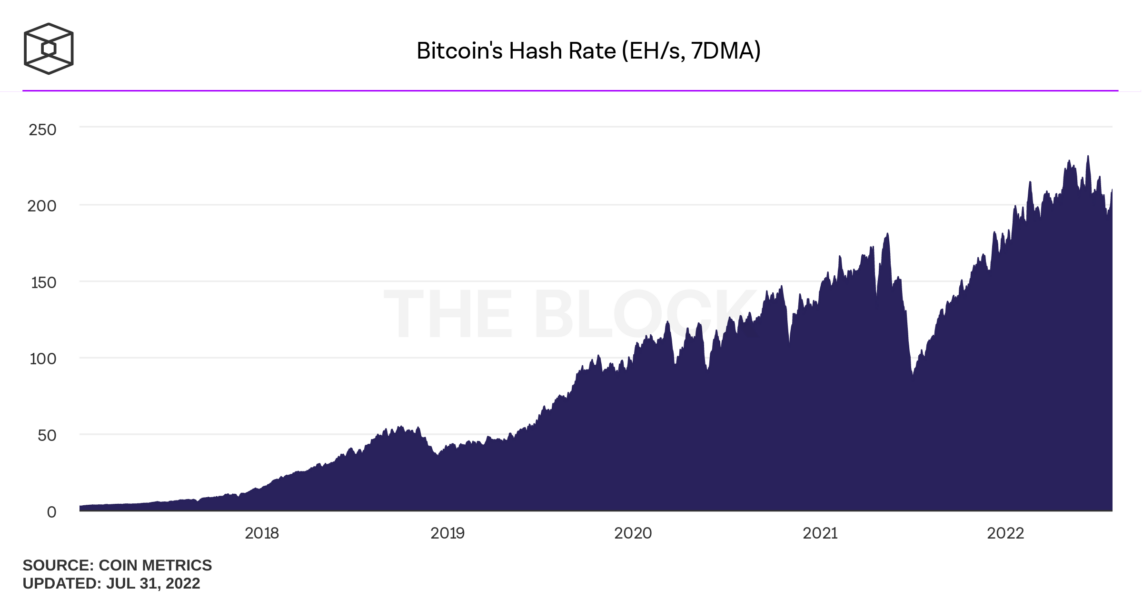 bitcoins hash rate daily 1143x600 - Bitcoin Madencileri Her Geçen Ay Gelir Kaybı Yaşıyor!