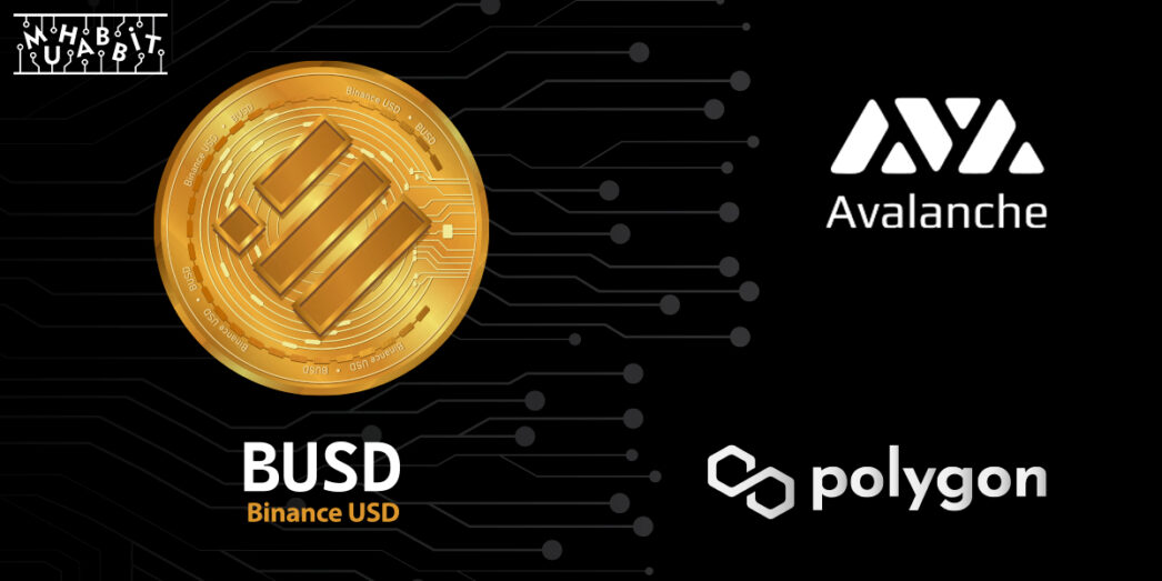 Binance’in Stablecoini BUSD, Avalanche ve Polygon Ağında İşlemlere Başladı!