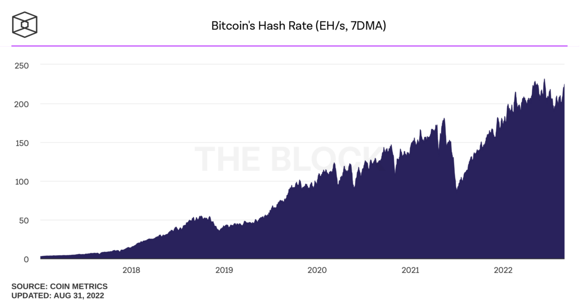 bitcoins hash rate daily 1143x600 - Bitcoin Madencileri Kötü Günler Geçirmeye Devam Ediyor!
