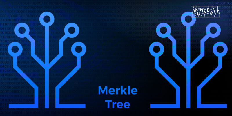 Hepimizin Sıkça Duyduğu Merkle Tree Nedir?