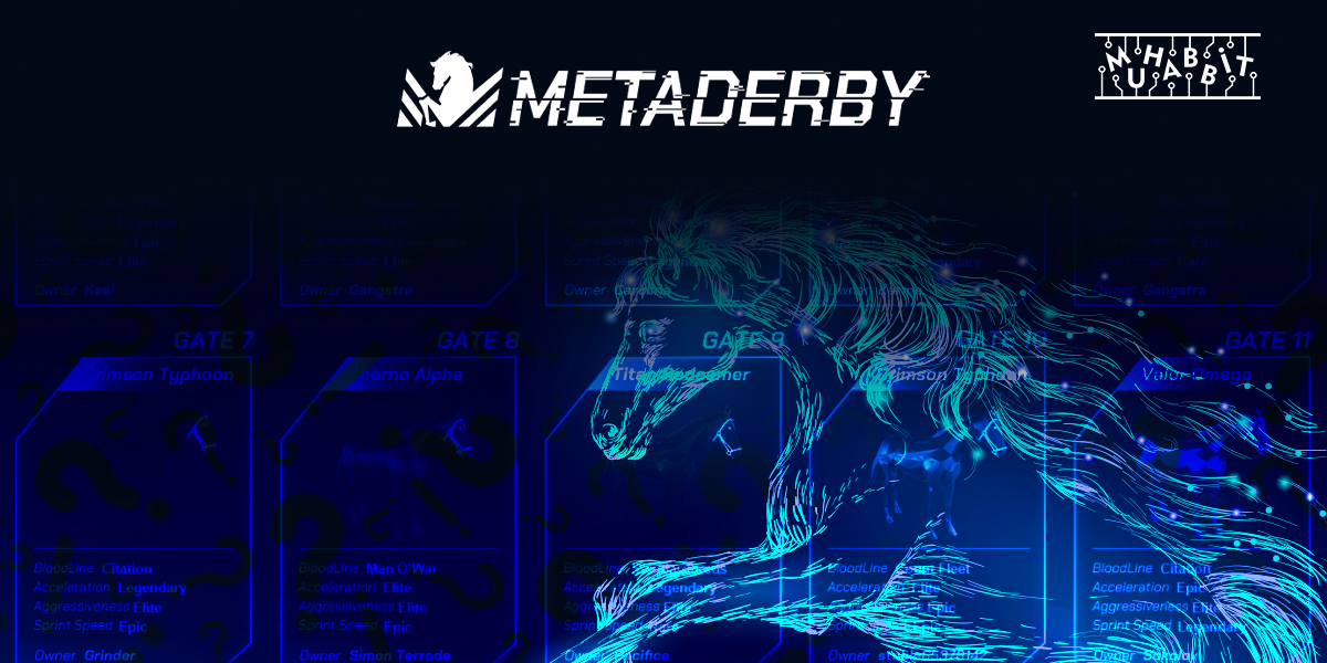 MetaDerby Nedir?