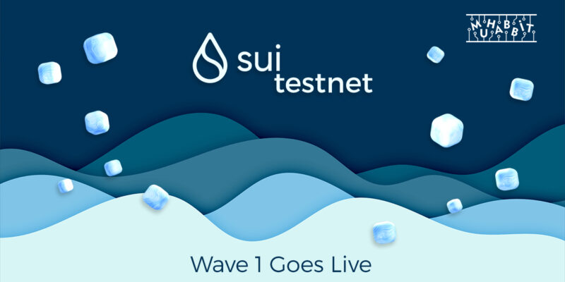 SUI Testnet Wave 1 Başladı! Peki Testnet’e Nasıl Katılınıyor?
