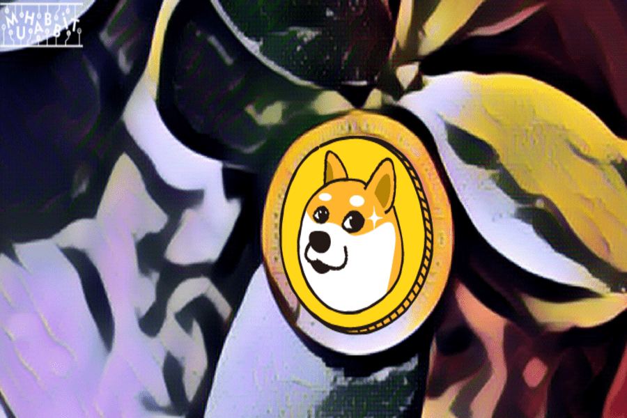 Dogecoin 2022 Performansıyla Herkesi Şaşırttı!