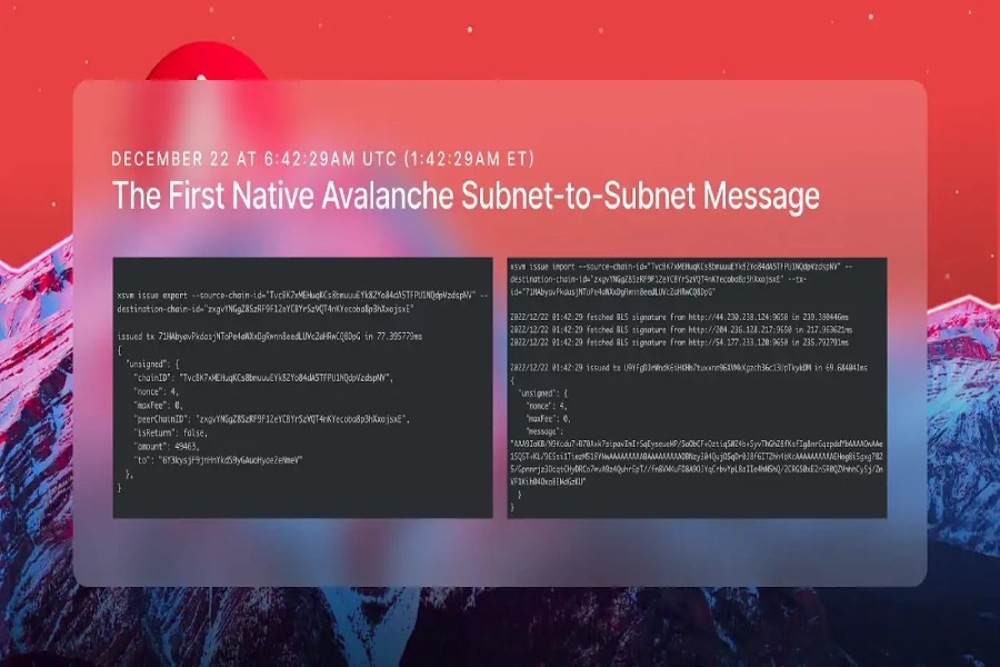subnet - Avalanche Subnet'lerin Kendi Aralarında İletişime Geçebileceği Avalanche Warp Messaging'i Duyurdu!