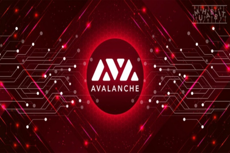 Alibaba Cloud ve Avalanche’dan Dev Ortaklık!