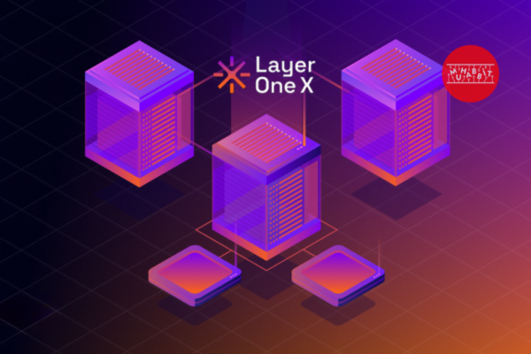 Layer One X Node ve Stake Rehberi