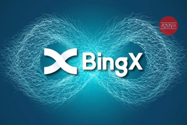 BingX, Her Bir Blokzincir Ağı İçin Çoklu Para Yatırma Adresleri Özelliğini Başlattı