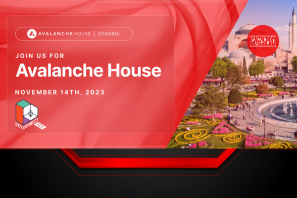Avalanche House İstanbul’a Geliyor!