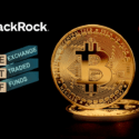 BlackRock’ın RWA Fonu, İlk haftada 160 milyon dolar mevduat topladı
