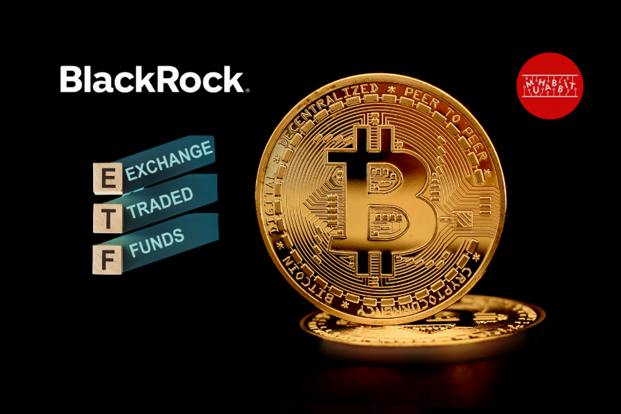 Sahte BlackRock ETF Onayının Maliyeti 100 Milyon Dolar: Peki Bunun Sorumlusu Kim?