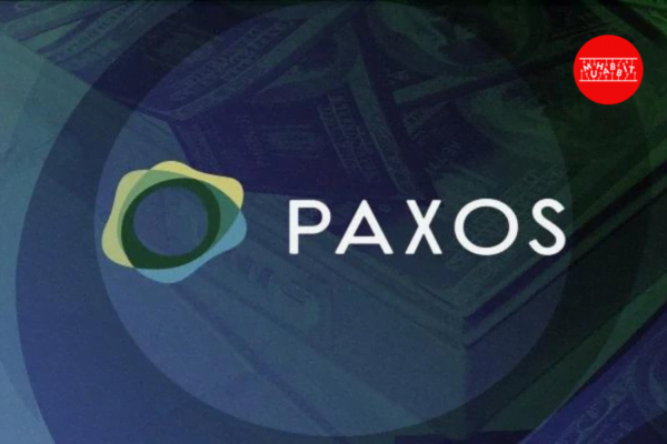 Paxos, Stablecoin İhracı Yapabilmek İçin Abu Dhabi’den Onay Aldı!
