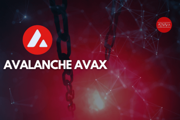 Avalanche Vakfı, yatırım yaptığı memecoin’leri açıkladı