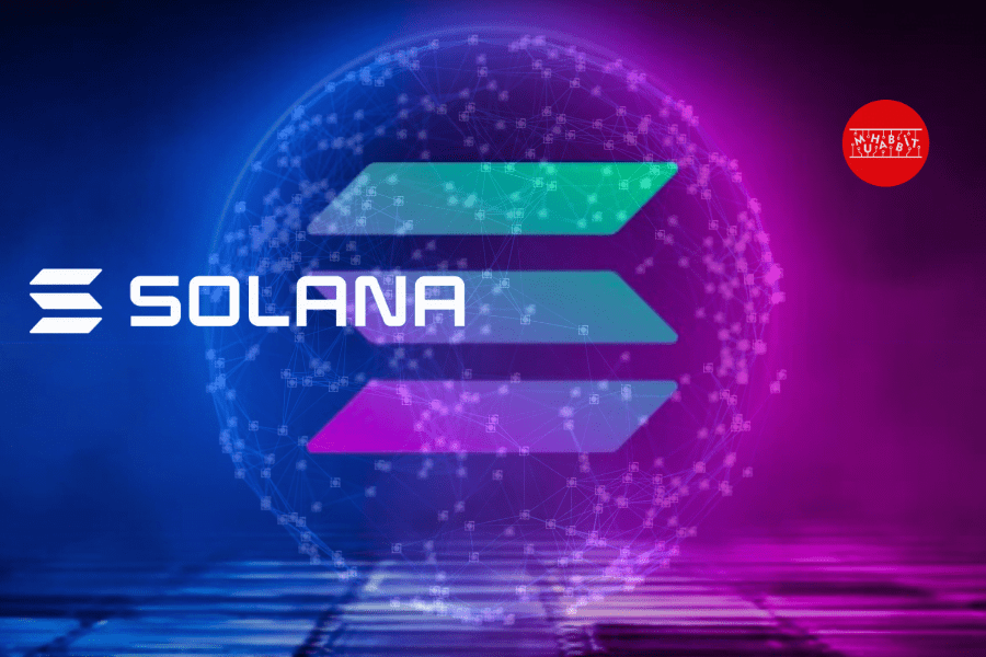 Solana, CoinGecko raporuna göre en popüler blok zincir ağı oldu