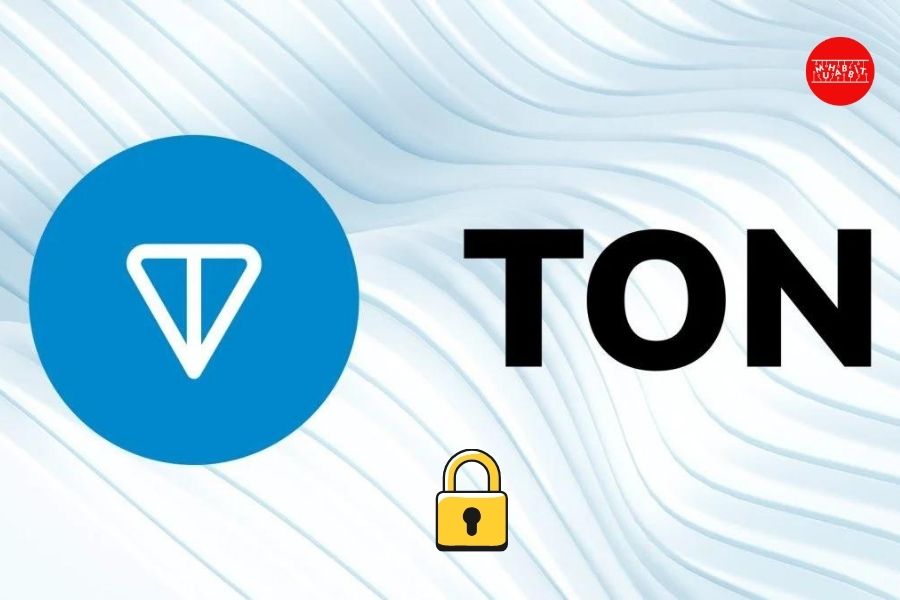 TON Blockchain’de TVL 300 milyon doları aştı