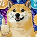 Memecoin Piyasasında Yüksek Volatilite: DOGE ve Diğerlerinin Risk Analizi