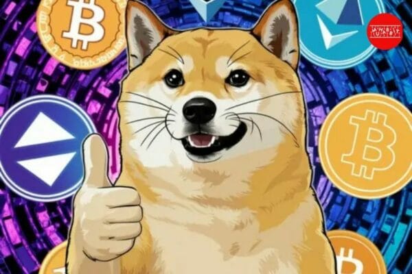 Memecoin Piyasasında Yüksek Volatilite: DOGE ve Diğerlerinin Risk Analizi