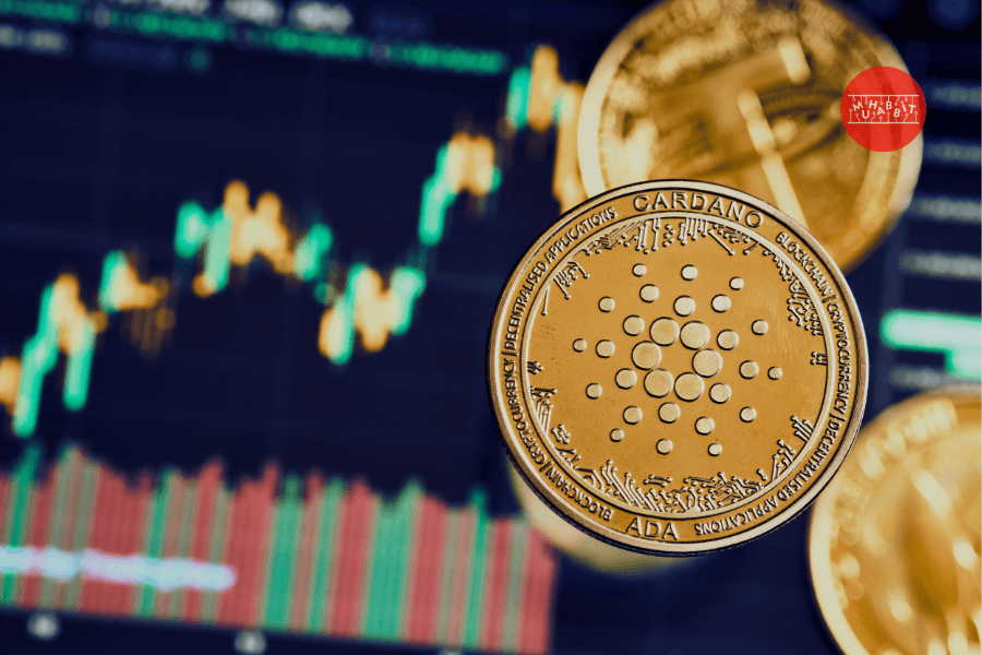 Cardano (ADA) 2,5 Yılın Zirvesine Ulaştı